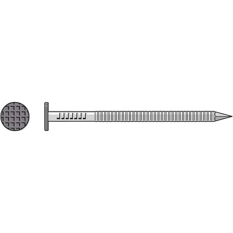 Simpson S10SNDG5 Painted Siding Nail  3 in. x .113 in. Type 304 Stainless Steel, Gray (5 lb.)