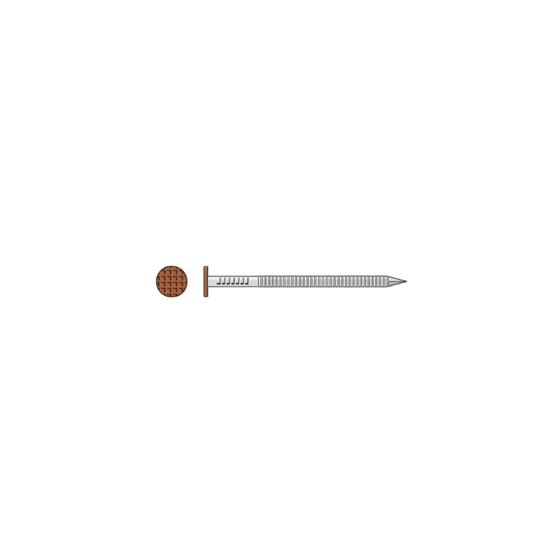 Simpson S10SNDS1 Painted Siding Nail  3 in. x .113 in. Type 304 Stainless Steel, Sienna (1 lb.)