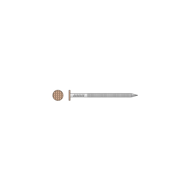 Simpson S10SNDT5 Painted Siding Nail  3 in. x .113 in. Type 304 Stainless Steel, Tan (5 lb.)