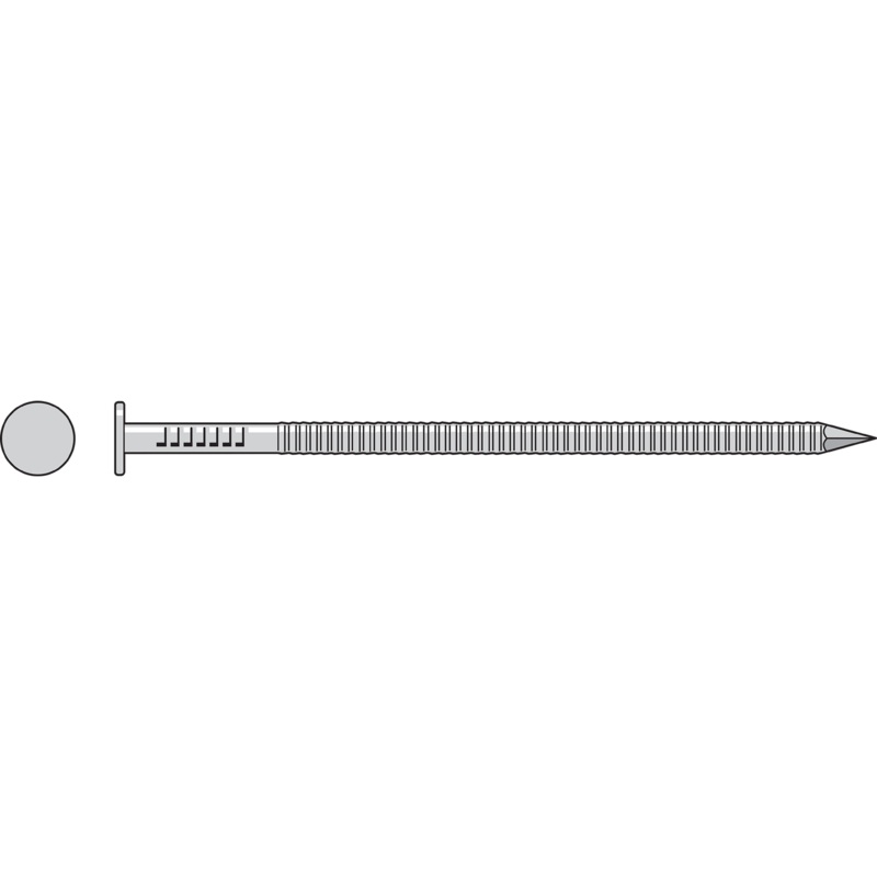 Simpson S20ACN1 Common Nail, Annular Ring Shank  4 in. x .203 in. Type 304 Stainless Steel (1 lb.)