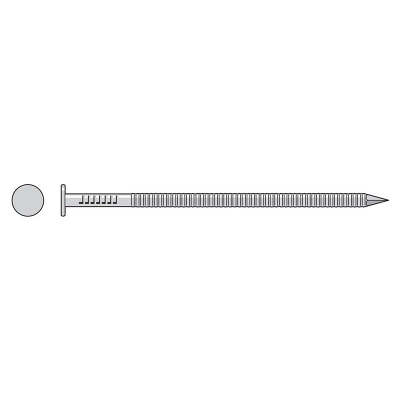 Simpson S2ACNB Common Nail, Annular Ring Shank  1 in. x .072 in. Type 304 Stainless Steel (25 lb.)